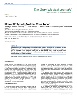 Bilateral Polycystic Testicle: Case Report