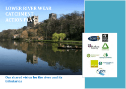 Lower Wear Pilot Stakeholder Group