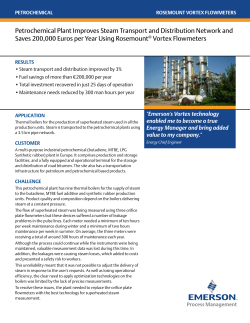 Petrochemical Plant Improves Steam Transport and