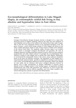 Eco-morphological differentiation in Lake Magadi