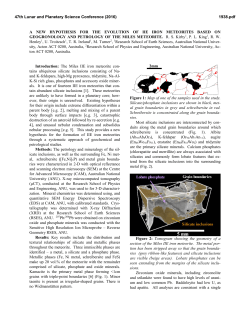 A NEW HYPOTHESIS FOR THE EVOLUTION OF IIE IRON