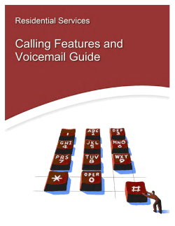 Digital Phone Guide NH