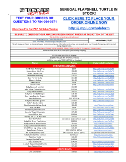 click here to place - Underground Reptiles