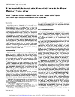 Experimental Infection of a Cat Kidney Cell Line
