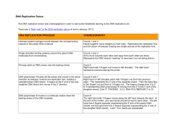 DNA replication dance