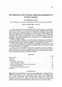 The Behaviour of the Nucleus during Spermatogenesis in Fasciola