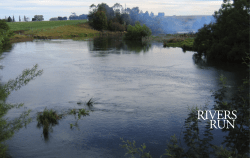 Untitled - Julie Gough