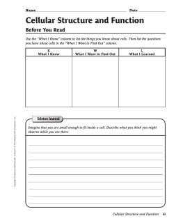 Cellular Structure and Function