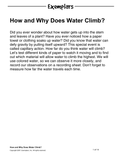 How and Why Does Water Climb?