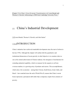 China`s Industrial Development