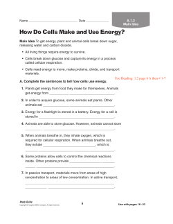 How Do Cells Make and Use Energy?