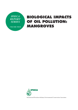 biological impacts of oil pollution: mangroves