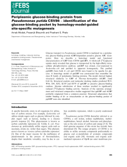 Periplasmic glucosebinding protein from Pseudomonas&euro;putida