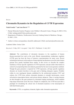 Chromatin Dynamics in the Regulation of CFTR Expression