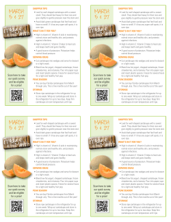 Cantaloupe