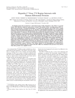 Hepatitis C Virus 3!X Region Interacts with Human Ribosomal Proteins