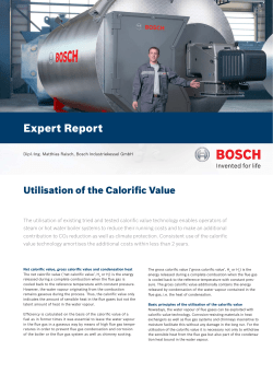 (PDF 0.5 MB) - Bosch Industriekessel GmbH