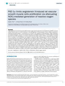 PGC-1&alpha; limits angiotensin II-induced rat vascular smooth muscle