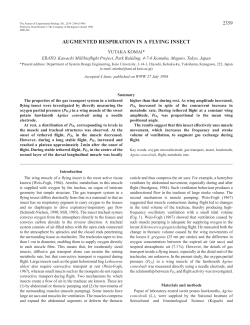 augmented respiration in a flying insect