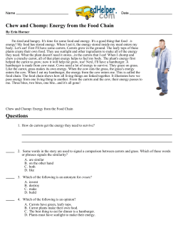 Chew and Chomp: Energy from the Food Chain Questions
