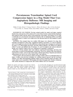 Percutaneous Translumbar Spinal Cord Compression Injury in a