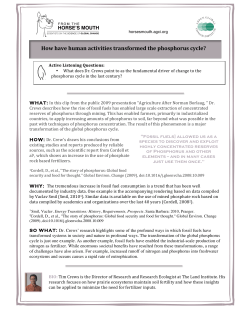How have human activities transformed the phosphorus cycle?