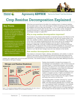 Crop Residue Decomposition Explained