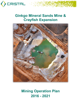 Ginkgo Mine Operation Plan
