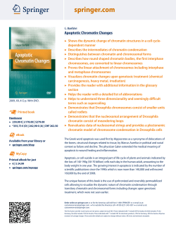 Apoptotic Chromatin Changes