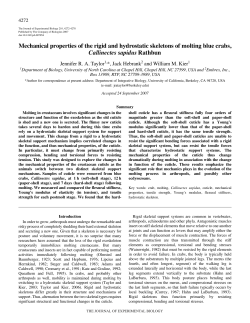 Taylor, J.R.A., Hebrank, J. and Kier, W.M. (2007)