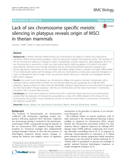 Lack of sex chromosome specific meiotic silencing in platypus
