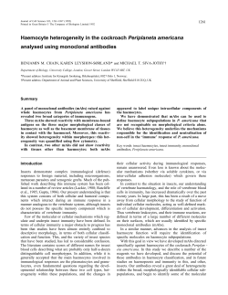 Haemocyte heterogeneity in the cockroach Periplaneta americana