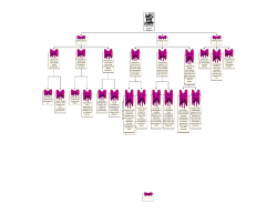 Scarlet Letter Scaffold Analysis