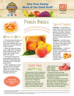 Peach Basics