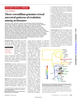 Three crocodilian genomes reveal ancestral patterns