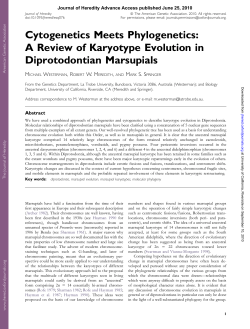 Cytogenetics Meets Phylogenetics: A Review of Karyotype Evolution