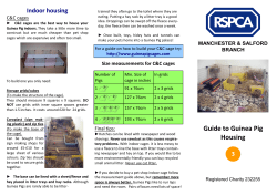 Guide to Guinea Pig Housing - Manchester and Salford RSPCA