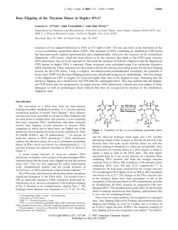Base Flipping of the Thymine Dimer in Duplex DNA