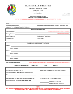 Limited Liability Partnership Application