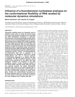 Influence of a fluorobenzene nucleobase analogue on the