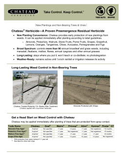 Multi Crop New Plantings and Non-Bearing Trees and