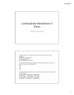 Carbohydrate Metabolism in Plants