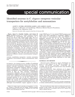 special communication - AJP-Cell