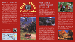 Oak Glen`s Apple Harvest In the fall -