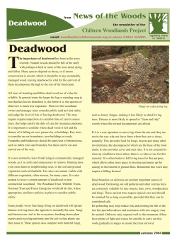 Deadwood - The Chilterns AONB