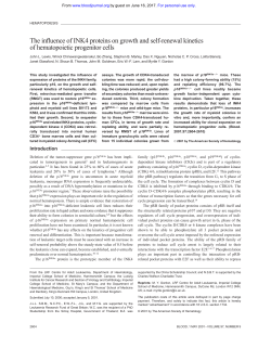 The influence of INK4 proteins on growth and self