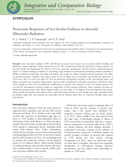Proteomic Responses of Sea Urchin Embryos to Stressful Ultraviolet