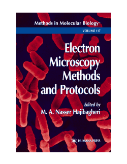 Electron Microscopy Methods and Protocols Electron Microscopy
