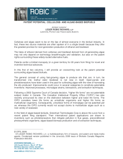 Patent potential : Cellulose-and algae-based biofuels (2008)