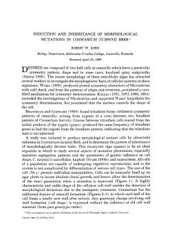 3 - Genetics